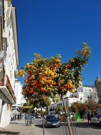 Meson Rociero Fragua 4